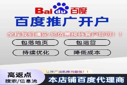 百度竞价推广案例：品牌崛起之路